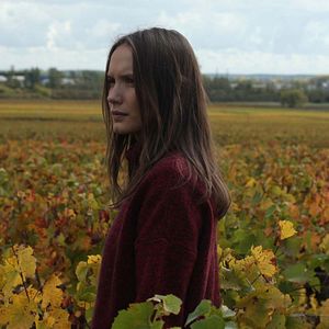 Foto El viñedo que nos une