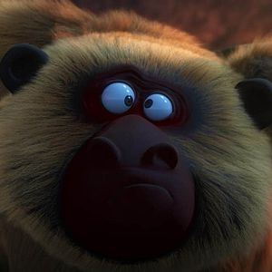 Foto Una jungla de locura