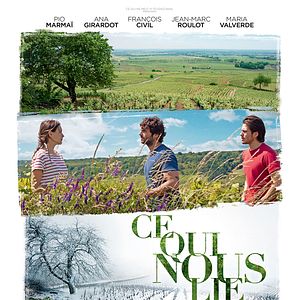 Foto El viñedo que nos une