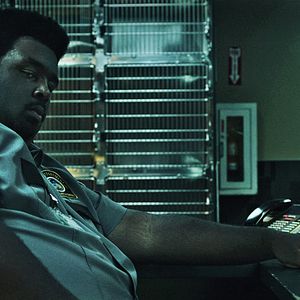 Foto Animal de compañía