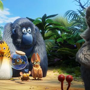 Foto Una jungla de locura