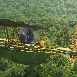 Foto Una jungla de locura