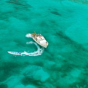 Foto Terror a 47 metros