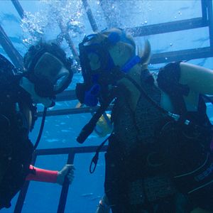 Foto Terror a 47 metros