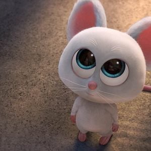 Foto Locos por las nueces 2