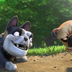 Foto Locos por las nueces 2