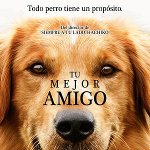 Foto La razón de estar contigo