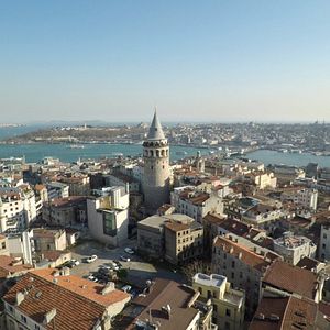 Foto Kedi (Gatos de Estambul)