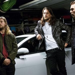 Foto Instinto Animal