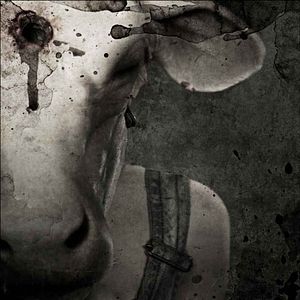 Foto Leatherface: La máscara del terror