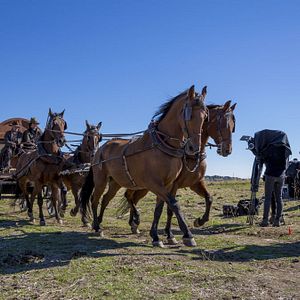 Foto Parada en el infierno