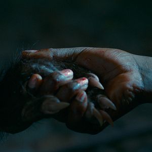 Foto Las buenas maneras