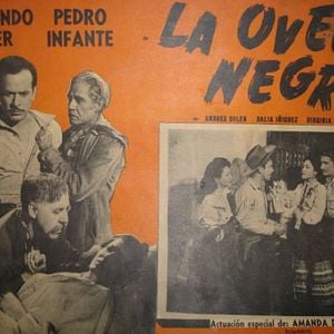 Foto La oveja negra