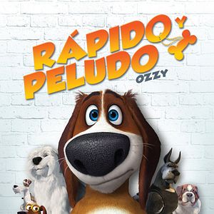 Foto Ozzy: Rápido y peludo