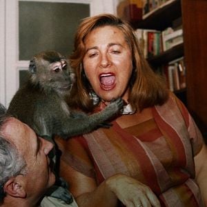 Foto Muchos hijos, un mono y un castillo