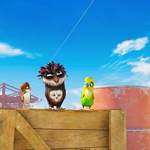 Foto Una cigüeña en apuros