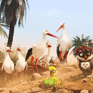 Foto Una cigüeña en apuros