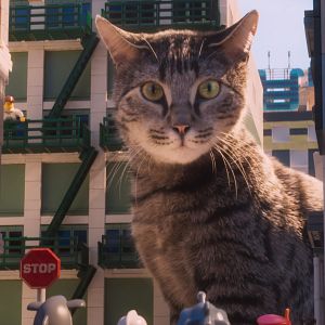 Foto Lego Ninjago La Película