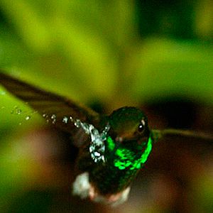 Foto Un día maravilloso en la Tierra