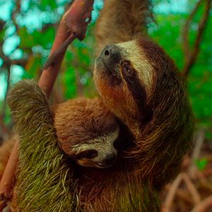 Foto Un día maravilloso en la Tierra