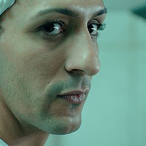 Foto O Animal Cordial