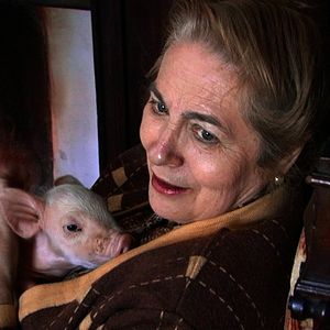 Foto Muchos hijos, un mono y un castillo