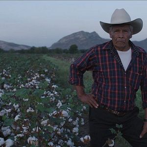 Foto A morir a los desiertos