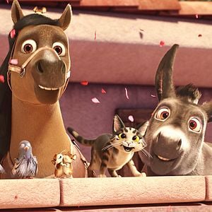 Foto La estrella de Belén