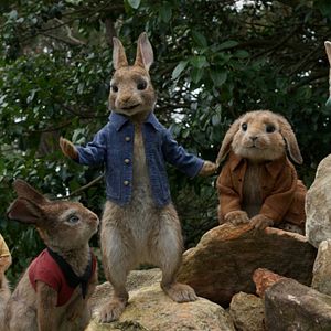 Foto Las travesuras de Peter Rabbit