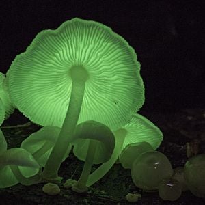 Foto Un día maravilloso en la Tierra