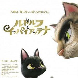 Foto Gatos. Un viaje de vuelta a casa