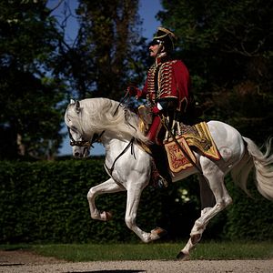 Foto El regreso del héroe