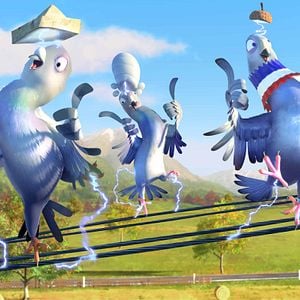 Foto Una cigüeña en apuros