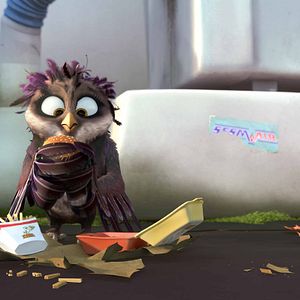 Foto Una cigüeña en apuros