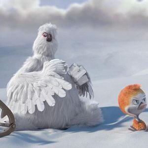 Foto Ploey: Cabeza de chorlito