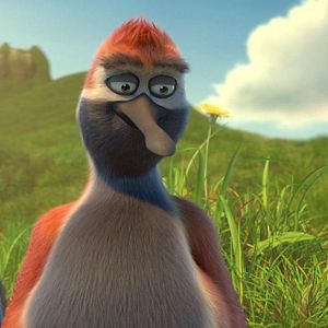 Foto Ploey: Cabeza de chorlito