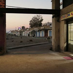 Foto El despertar de la fiera - Dogman