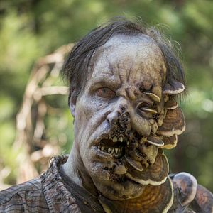 Foto The Walking Dead