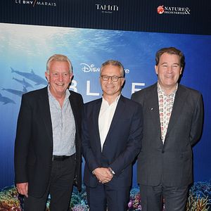 Foto Arrecife de delfines