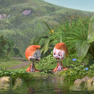 Foto Ploey: Cabeza de chorlito