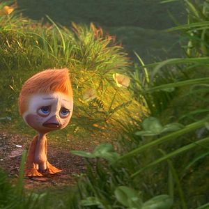 Foto Ploey: Cabeza de chorlito