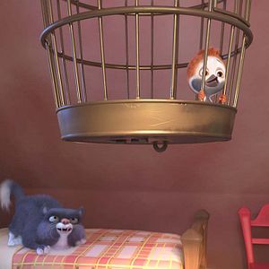 Foto Ploey: Cabeza de chorlito