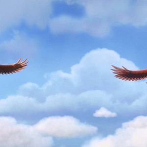 Foto Ploey: Cabeza de chorlito