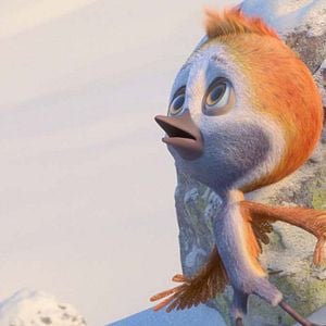 Foto Ploey: Cabeza de chorlito