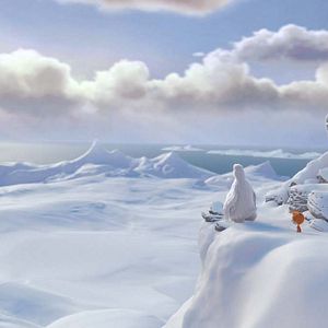 Foto Ploey: Cabeza de chorlito