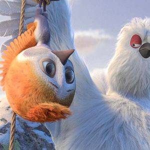 Foto Ploey: Cabeza de chorlito