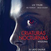 Foto Criaturas nocturnas