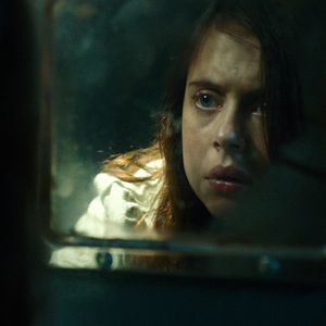 Foto Criaturas nocturnas