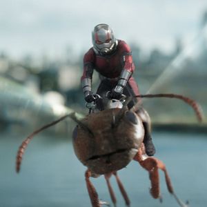 Foto Ant-Man and the Wasp