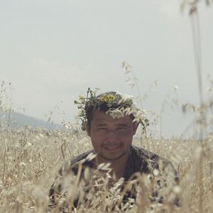 Foto The Gentle Indifference of the World